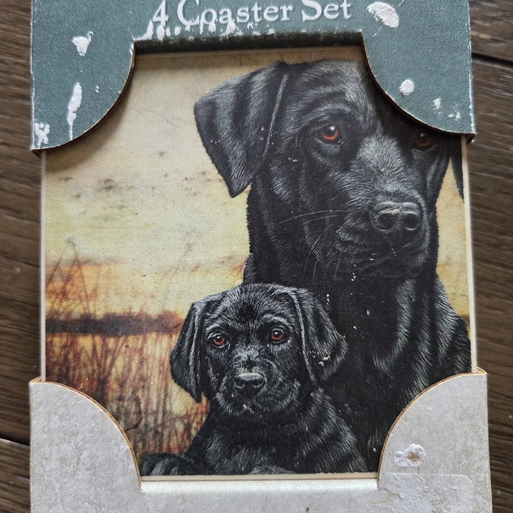 AbsorbaStone Set of 4 Black Labrador Retriever Dogs Absorbent Stone Coasters